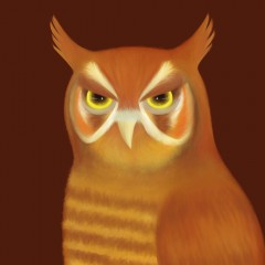 Scowling Owl